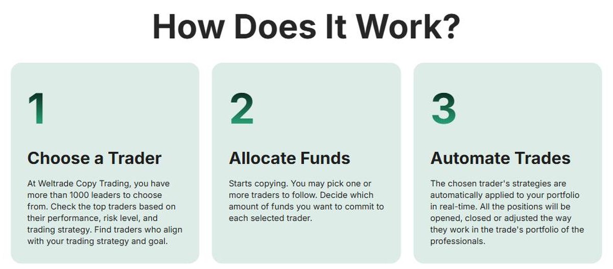 Weltrade copy trading in three steps